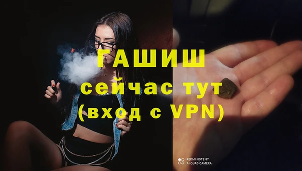мдпв Новозыбков