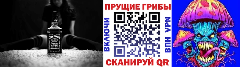 Псилоцибиновые грибы Psilocybine cubensis  Североуральск 